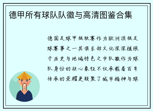 德甲所有球队队徽与高清图鉴合集